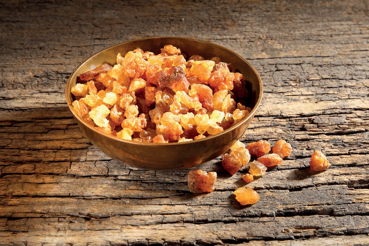 Holzschale mit Fruechten